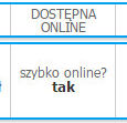 Dostęp online